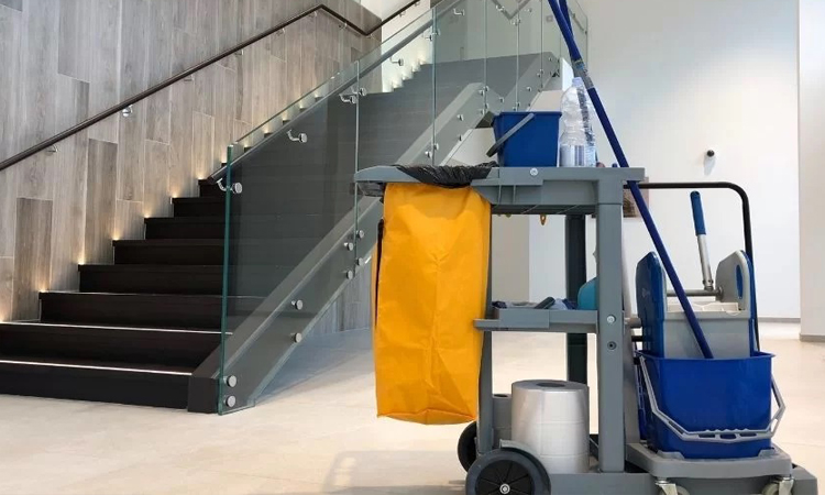 Apartman  Temizliği